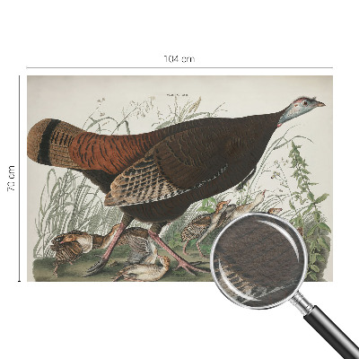 Papel de parede Harmonia natural