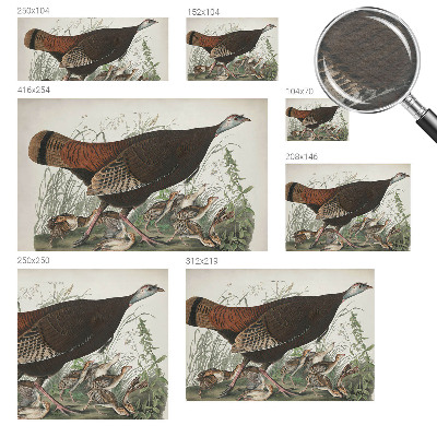 Papel de parede Harmonia natural