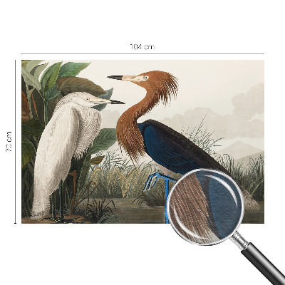 Fotomural Pássaros em plantas