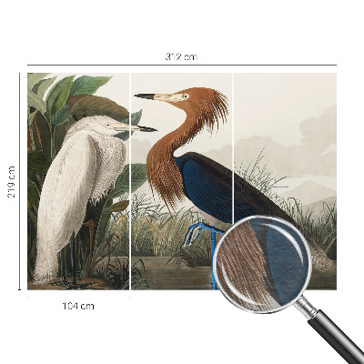 Fotomural Pássaros em plantas