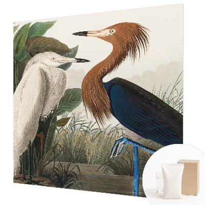 Fotomural Pássaros em plantas