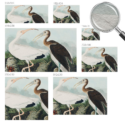 Mural de fotos na parede Casal de pássaros