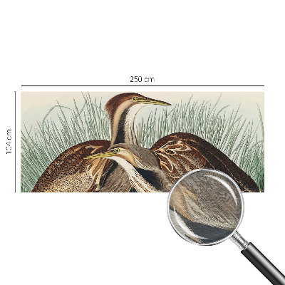 Papel de parede fotográfico pássaros realistas