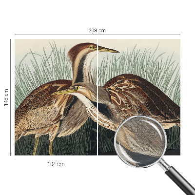 Papel de parede fotográfico pássaros realistas