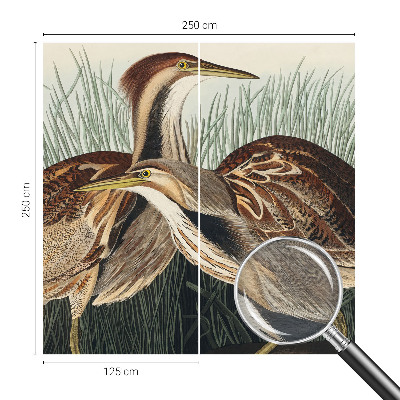 Papel de parede fotográfico pássaros realistas
