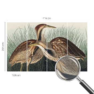 Papel de parede fotográfico pássaros realistas