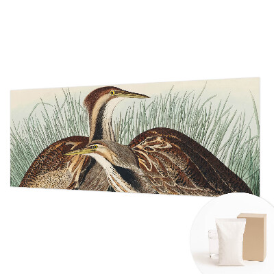 Papel de parede fotográfico pássaros realistas