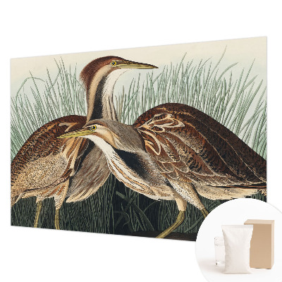 Papel de parede fotográfico pássaros realistas