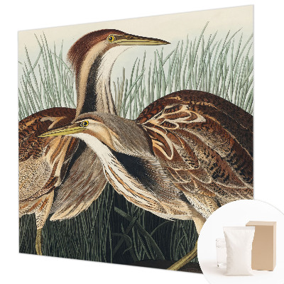 Papel de parede fotográfico pássaros realistas