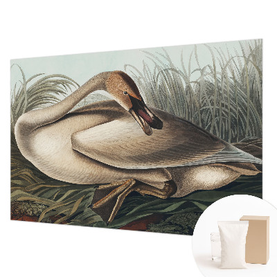 Papel de parede para sala Pássaro natural