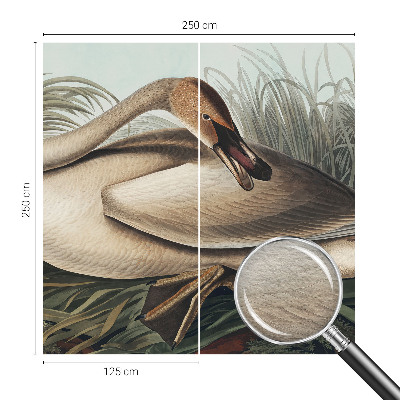 Papel de parede para sala Pássaro natural