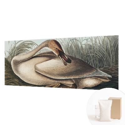 Papel de parede para sala Pássaro natural