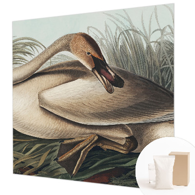 Papel de parede para sala Pássaro natural