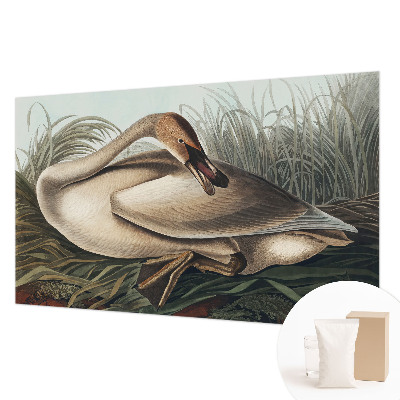 Papel de parede para sala Pássaro natural