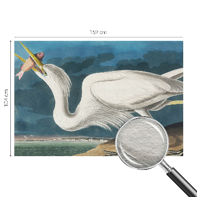 Mural de fotos na parede Pássaro com peixe