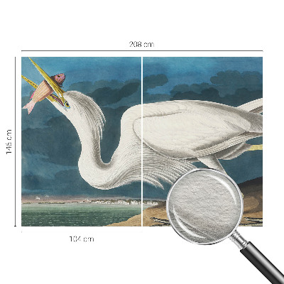 Mural de fotos na parede Pássaro com peixe