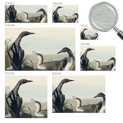 Papel de parede decorativo Pássaros sobre a água