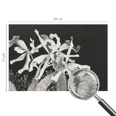 Mural fotográfico Ilustração de orquídea