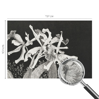 Mural fotográfico Ilustração de orquídea