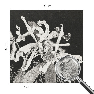 Mural fotográfico Ilustração de orquídea