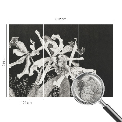 Mural fotográfico Ilustração de orquídea