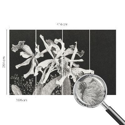 Mural fotográfico Ilustração de orquídea