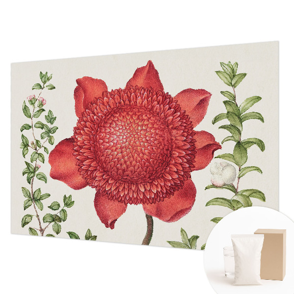 Papel de parede para sala Elegância floral