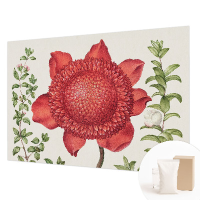 Papel de parede para sala Elegância floral