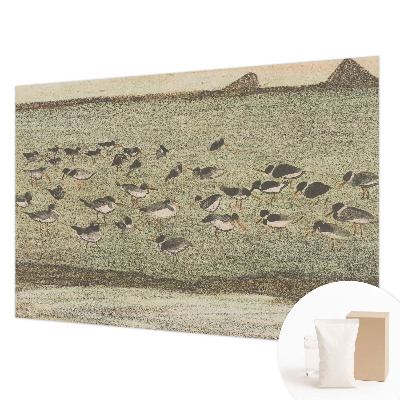 Papel de parede Paz do pássaro