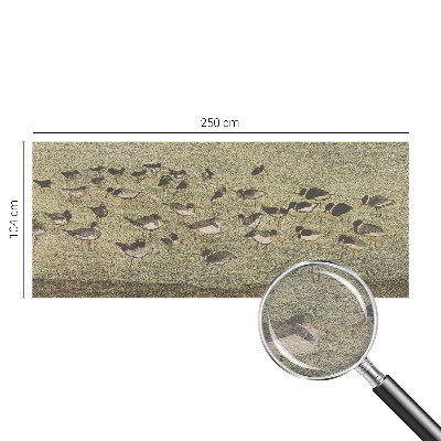 Papel de parede Paz do pássaro