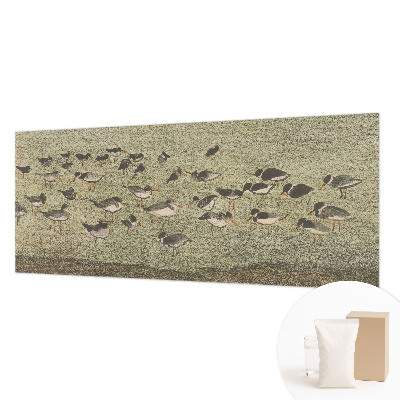 Papel de parede Paz do pássaro