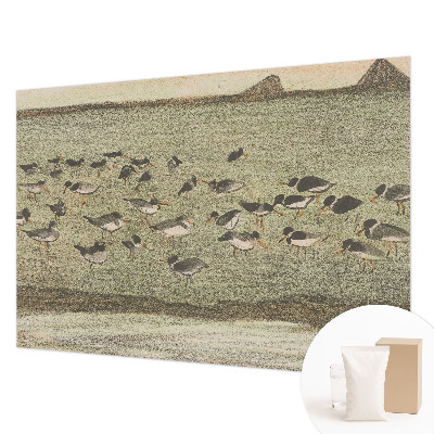 Papel de parede Paz do pássaro