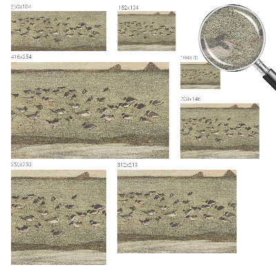 Papel de parede Paz do pássaro