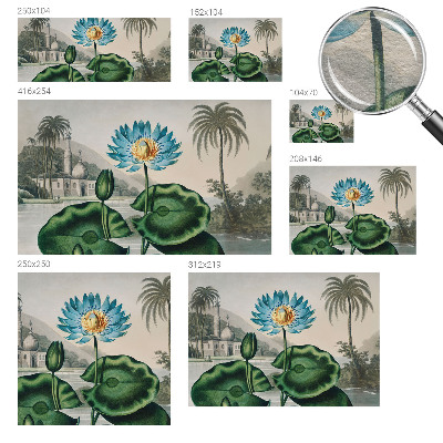 Papel de parede para sala Paisagem exótica