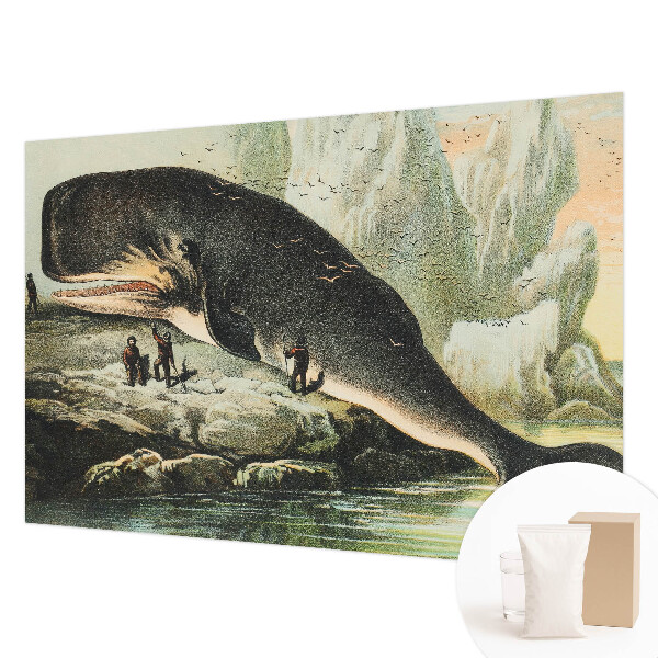 Papel de parede Gigantismo marinho