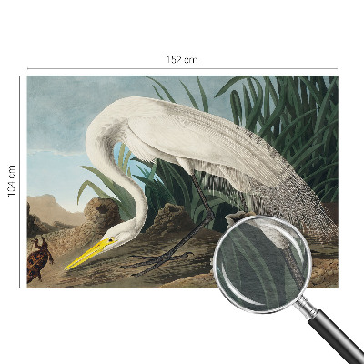 Papel de parede para sala Garça majestosa