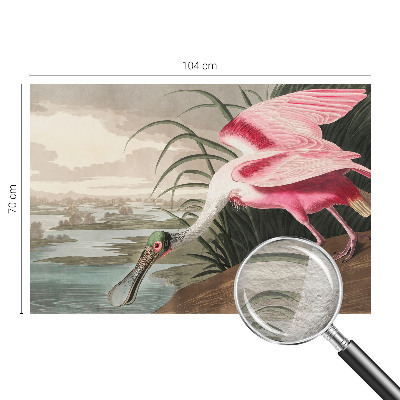 Papel de parede para quarto Ave exótica