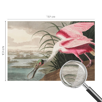 Papel de parede para quarto Ave exótica