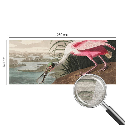 Papel de parede para quarto Ave exótica