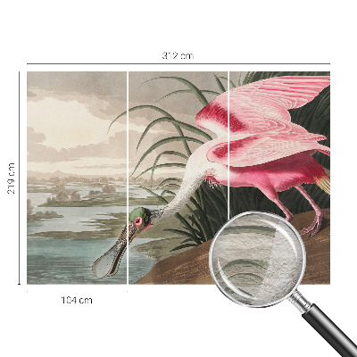 Papel de parede para quarto Ave exótica