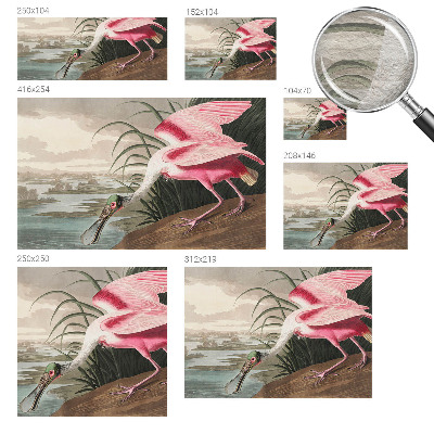 Papel de parede para quarto Ave exótica