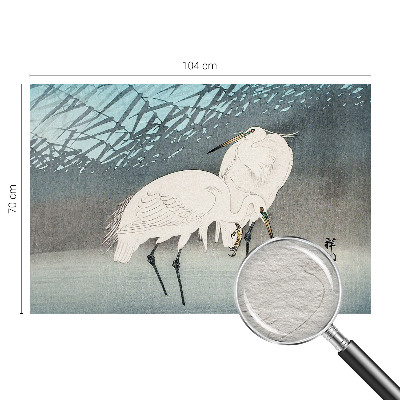 Papel de parede Pássaros delicados