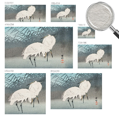 Papel de parede Pássaros delicados