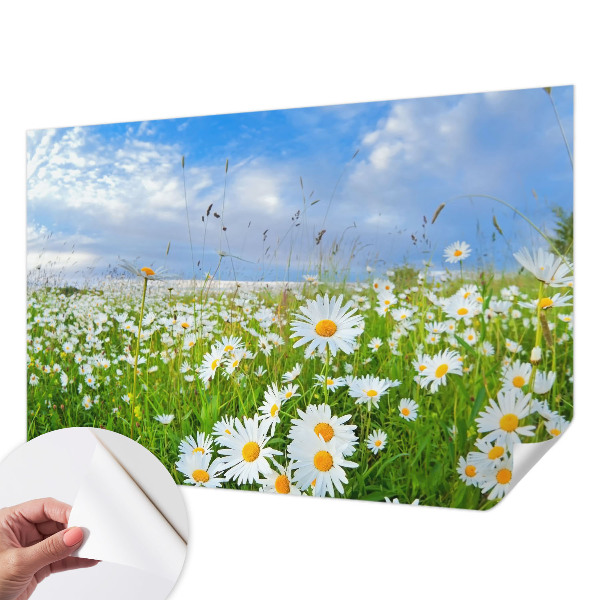Papel de parede 3D com estampa 'Prado de verão'
