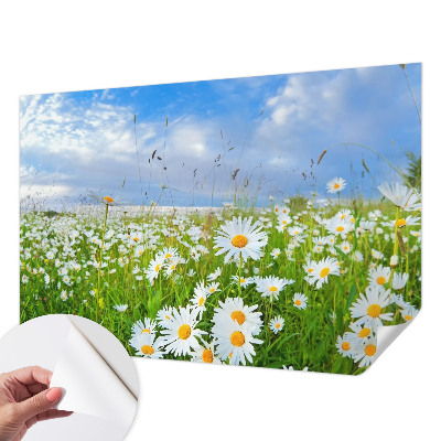 Papel de parede 3D com estampa 'Prado de verão'