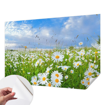 Papel de parede 3D com estampa 'Prado de verão'