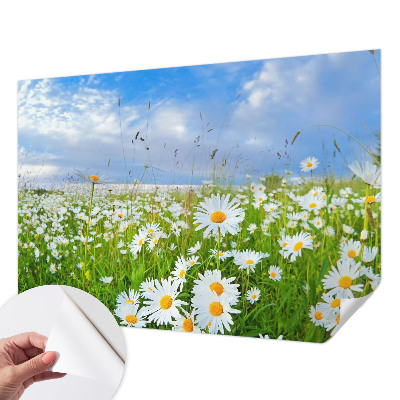 Papel de parede 3D com estampa 'Prado de verão'