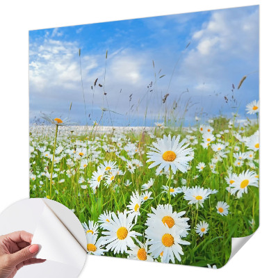 Papel de parede 3D com estampa 'Prado de verão'
