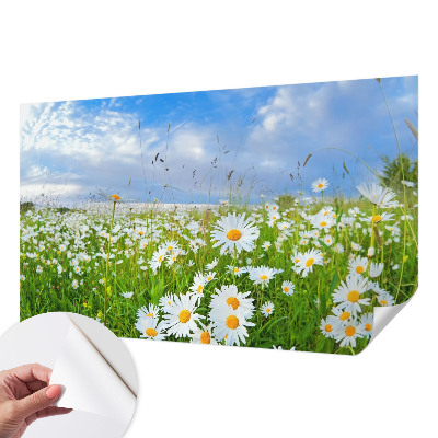 Papel de parede 3D com estampa 'Prado de verão'