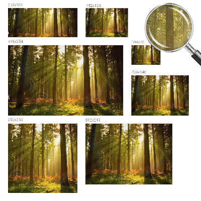 Autocolante de parede fotográfico com imagem 'Manhã na floresta' para decoração de parede